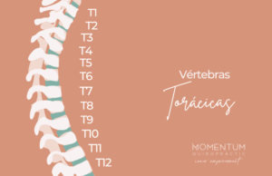 Columna vertebral y dolor dorsal