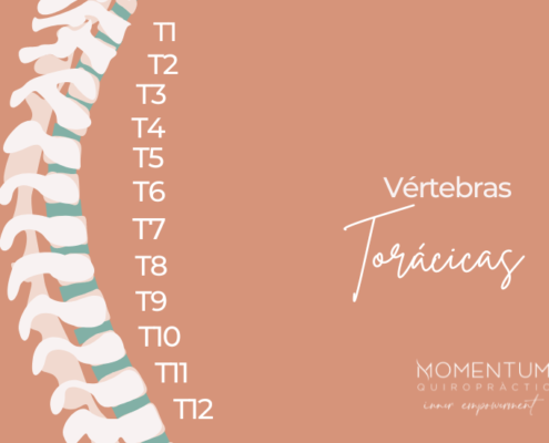 Columna vertebral y dolor dorsal