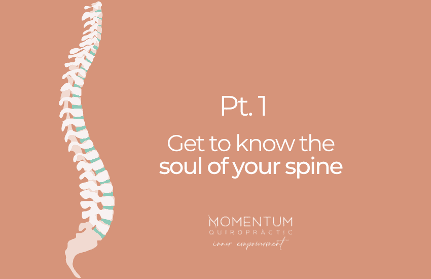 Spine and chiropractic care Momentum