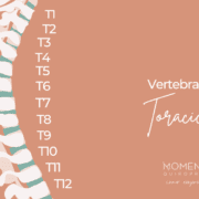 Dorsal vertebrae chiropractic