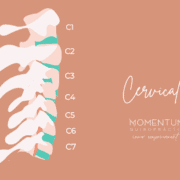 Columna Vertebral Momentum Quiropractic Cervicals