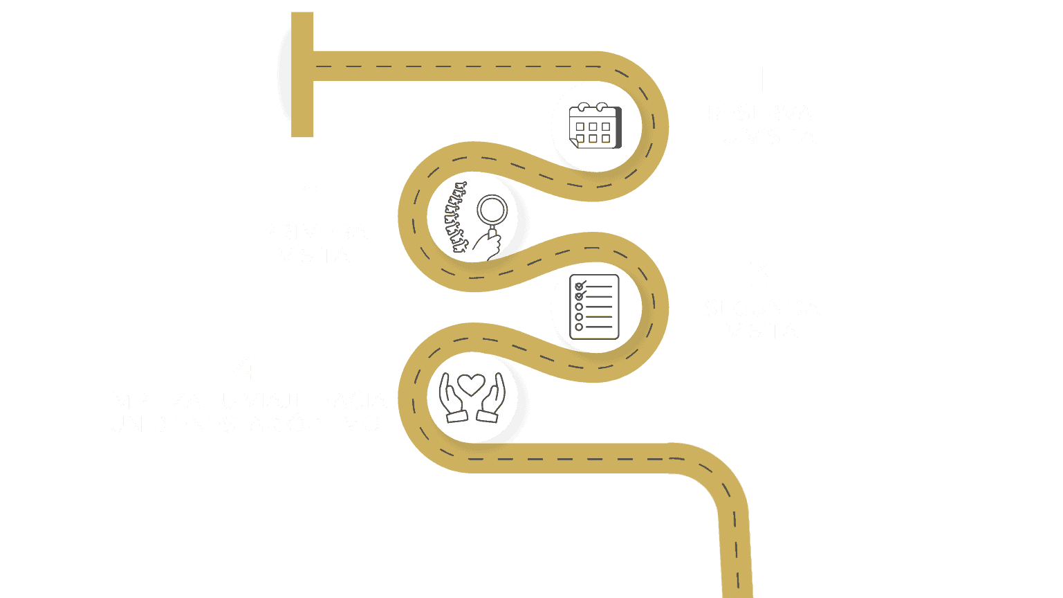 Plan de Atención Quiropractica Momentum Barcelona